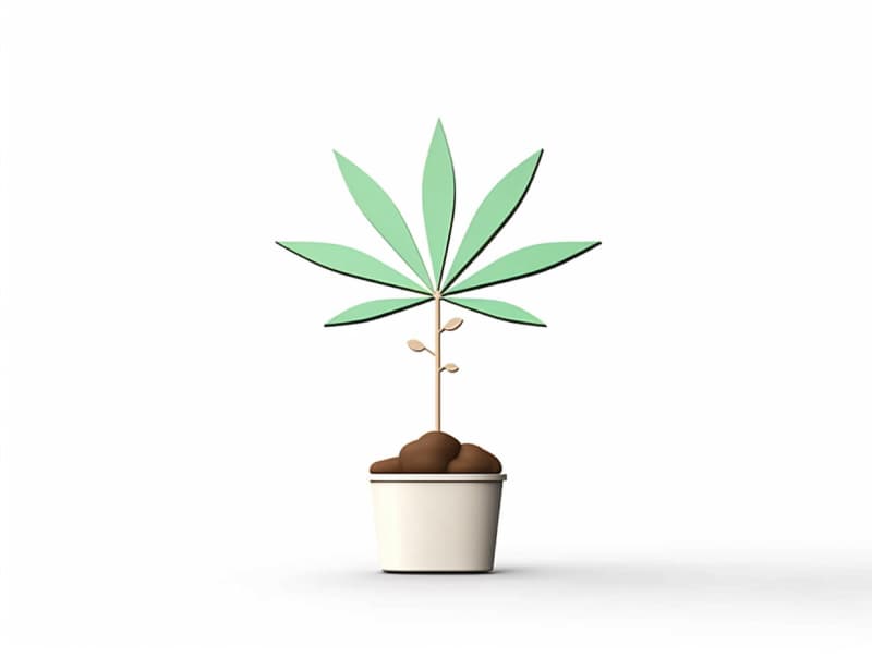 Eine minimalistische, geometrische Darstellung eines wachsenden Cannabispflanzensprösslings. Es steht für das Gründen eines neuen Aufstrebenden Clubs in Aalen.