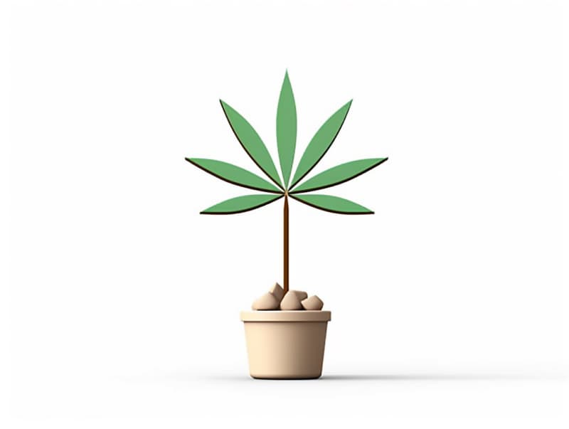 Eine minimalistische, geometrische Darstellung eines wachsenden Cannabispflanzensprösslings. Es steht für das Gründen eines neuen Aufstrebenden Clubs in Bad Kreuznach.