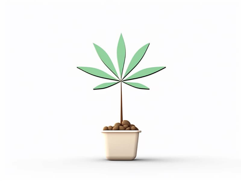 Eine minimalistische, geometrische Darstellung eines wachsenden Cannabispflanzensprösslings. Es steht für das Gründen eines neuen Aufstrebenden Clubs in Bad Oeynhausen.
