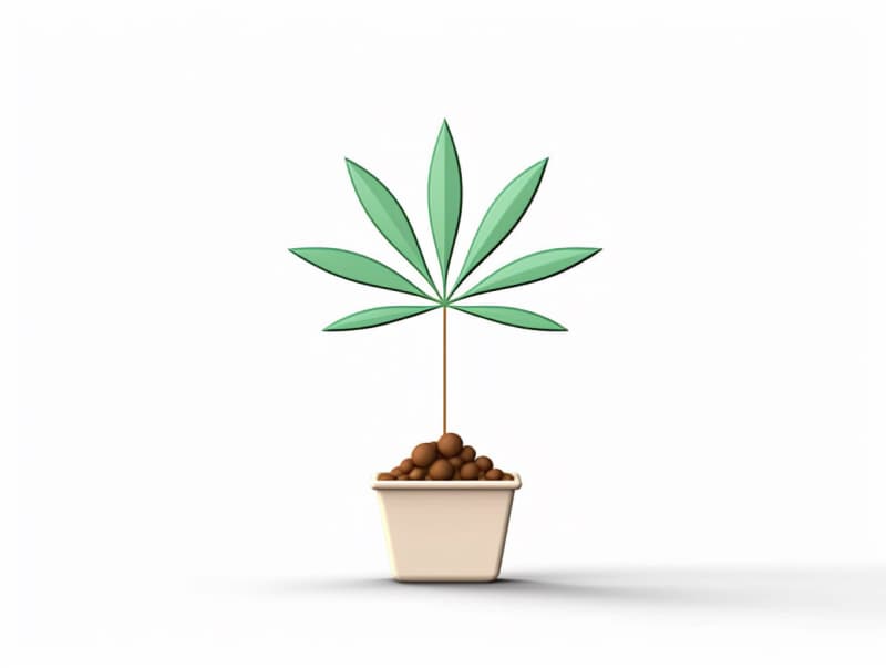 Eine minimalistische, geometrische Darstellung eines wachsenden Cannabispflanzensprösslings. Es steht für das Gründen eines neuen Aufstrebenden Clubs in Bad Salzuflen.
