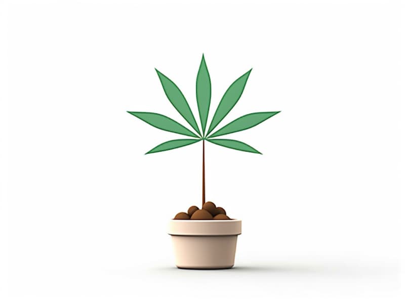 Eine minimalistische, geometrische Darstellung eines wachsenden Cannabispflanzensprösslings. Es steht für das Gründen eines neuen Aufstrebenden Clubs in Bergisch Gladbach.