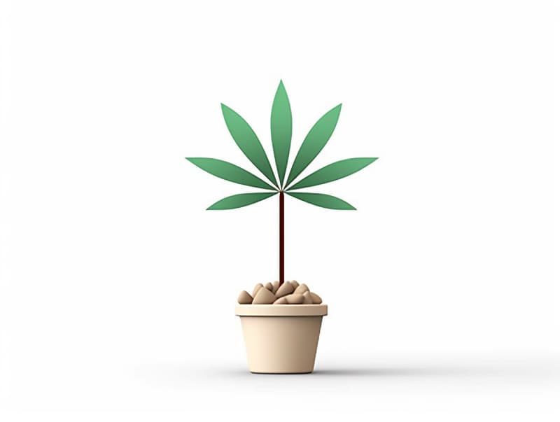 Eine minimalistische, geometrische Darstellung eines wachsenden Cannabispflanzensprösslings. Es steht für das Gründen eines neuen Aufstrebenden Clubs in Bocholt.