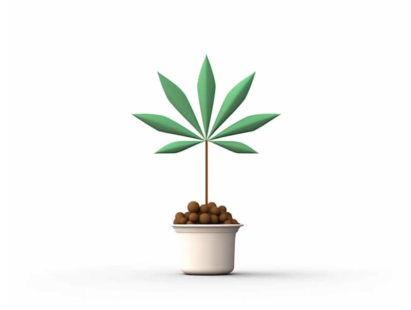 Eine minimalistische, geometrische Darstellung eines wachsenden Cannabispflanzensprösslings. Es steht für das Gründen eines neuen Aufstrebenden Clubs in Düren.