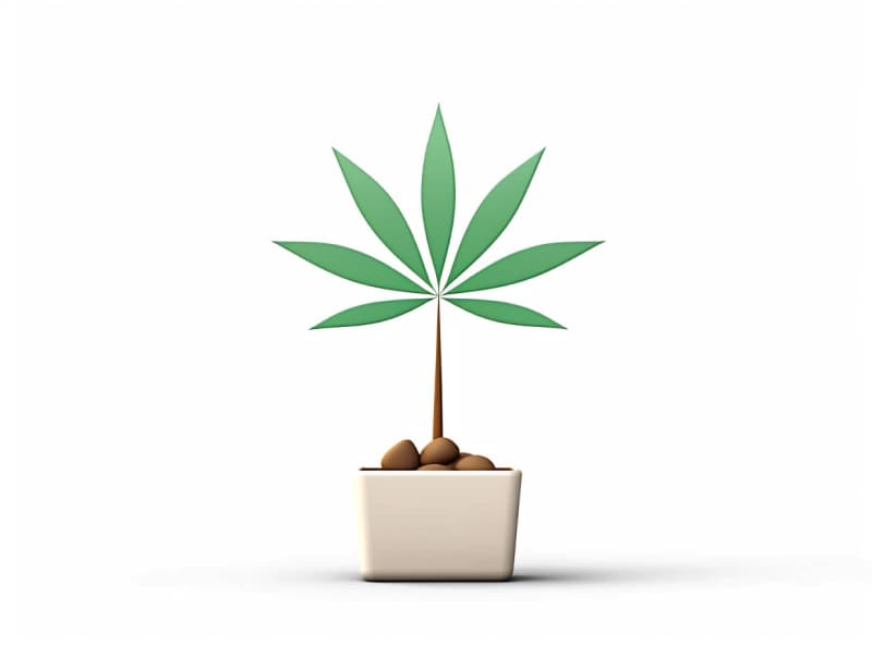 Eine minimalistische, geometrische Darstellung eines wachsenden Cannabispflanzensprösslings. Es steht für das Gründen eines neuen Aufstrebenden Clubs in Detmold.