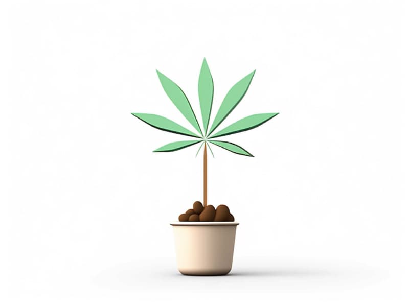 Eine minimalistische, geometrische Darstellung eines wachsenden Cannabispflanzensprösslings. Es steht für das Gründen eines neuen Aufstrebenden Clubs in Dinslaken.