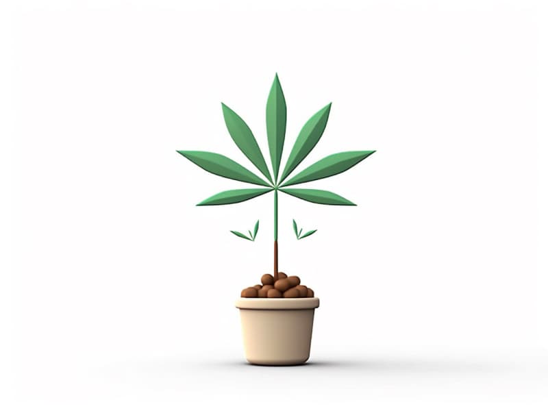 Eine minimalistische, geometrische Darstellung eines wachsenden Cannabispflanzensprösslings. Es steht für das Gründen eines neuen Aufstrebenden Clubs in Elmshorn.