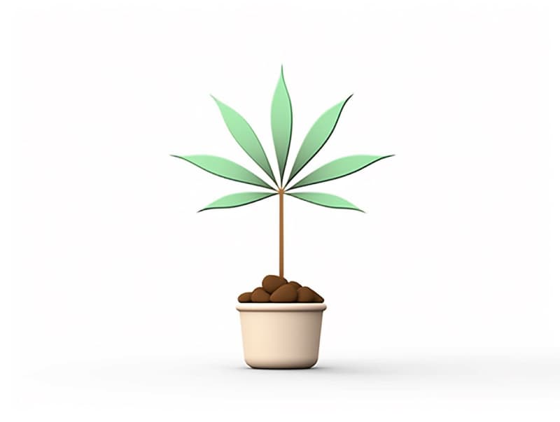 Eine minimalistische, geometrische Darstellung eines wachsenden Cannabispflanzensprösslings. Es steht für das Gründen eines neuen Aufstrebenden Clubs in Euskirchen.