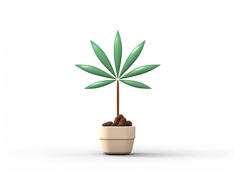 Eine minimalistische, geometrische Darstellung eines wachsenden Cannabispflanzensprösslings. Es steht für das Gründen eines neuen Aufstrebenden Clubs in Fürth.