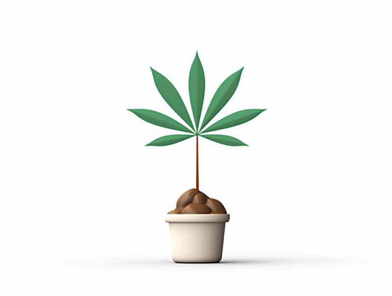 Eine minimalistische, geometrische Darstellung eines wachsenden Cannabispflanzensprösslings. Es steht für das Gründen eines neuen Aufstrebenden Clubs in Flensburg.