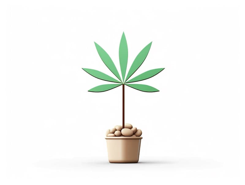 Eine minimalistische, geometrische Darstellung eines wachsenden Cannabispflanzensprösslings. Es steht für das Gründen eines neuen Aufstrebenden Clubs in Frechen.