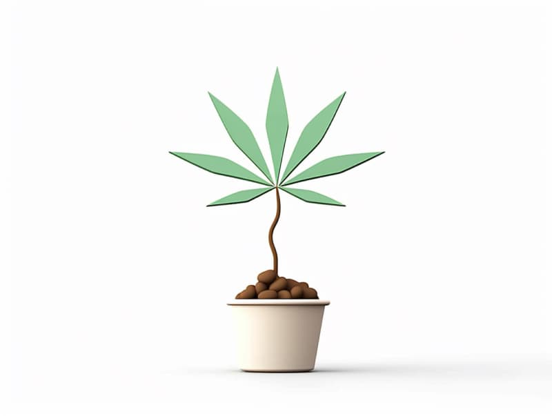 Eine minimalistische, geometrische Darstellung eines wachsenden Cannabispflanzensprösslings. Es steht für das Gründen eines neuen Aufstrebenden Clubs in Fulda.