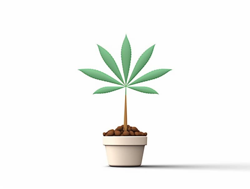 Eine minimalistische, geometrische Darstellung eines wachsenden Cannabispflanzensprösslings. Es steht für das Gründen eines neuen Aufstrebenden Clubs in Göppingen.