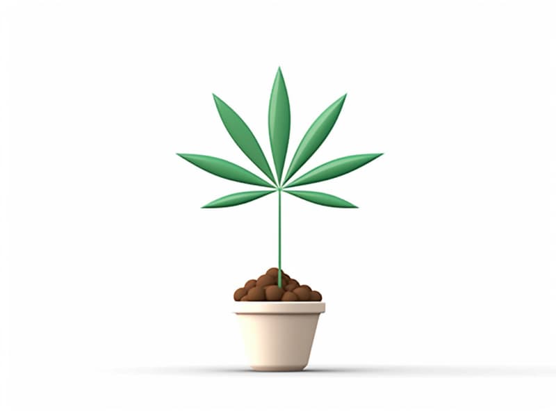 Eine minimalistische, geometrische Darstellung eines wachsenden Cannabispflanzensprösslings. Es steht für das Gründen eines neuen Aufstrebenden Clubs in Gera.