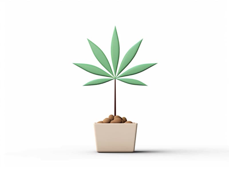 Eine minimalistische, geometrische Darstellung eines wachsenden Cannabispflanzensprösslings. Es steht für das Gründen eines neuen Aufstrebenden Clubs in Gladbeck.
