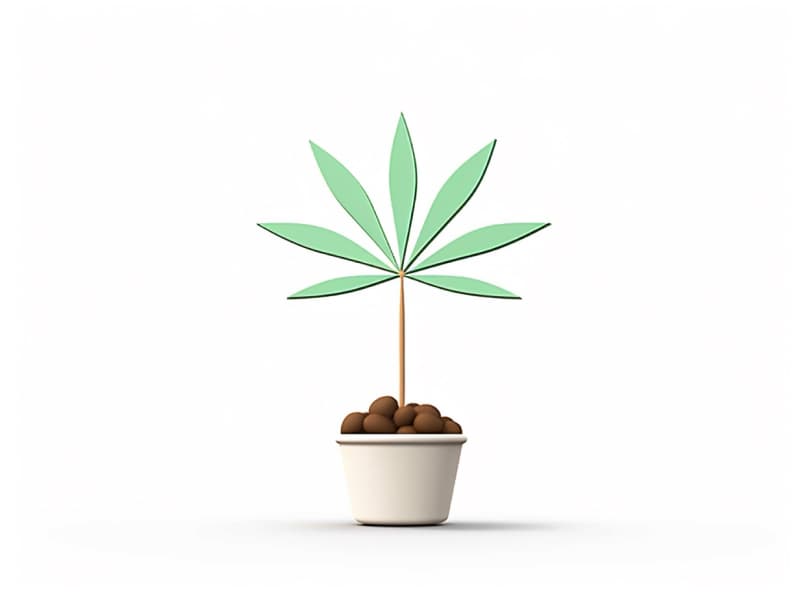 Eine minimalistische, geometrische Darstellung eines wachsenden Cannabispflanzensprösslings. Es steht für das Gründen eines neuen Aufstrebenden Clubs in Greifswald.