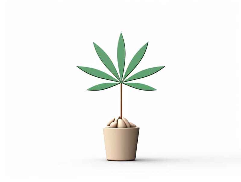 Eine minimalistische, geometrische Darstellung eines wachsenden Cannabispflanzensprösslings. Es steht für das Gründen eines neuen Aufstrebenden Clubs in Grevenbroich.