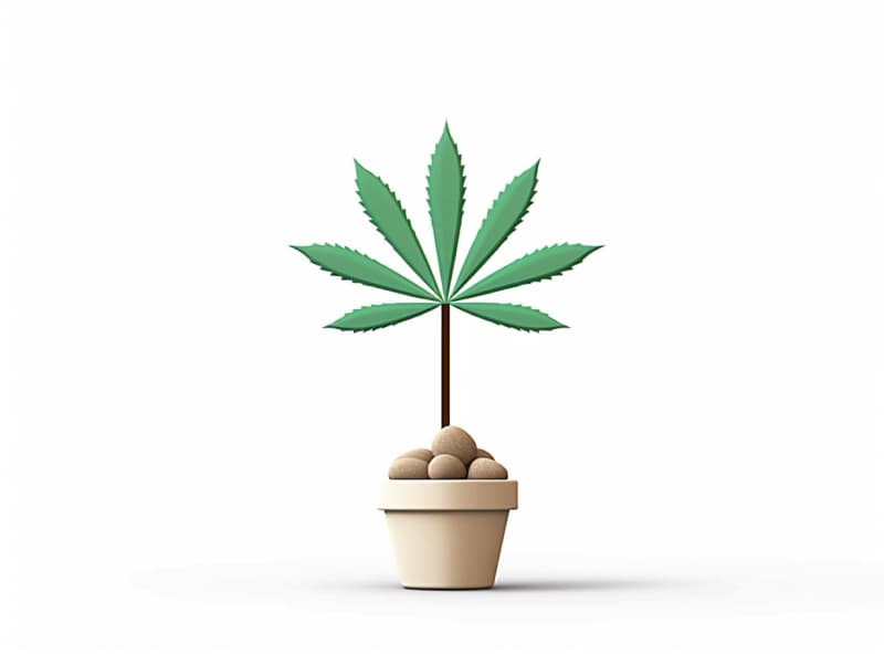 Eine minimalistische, geometrische Darstellung eines wachsenden Cannabispflanzensprösslings. Es steht für das Gründen eines neuen Aufstrebenden Clubs in Gummersbach.