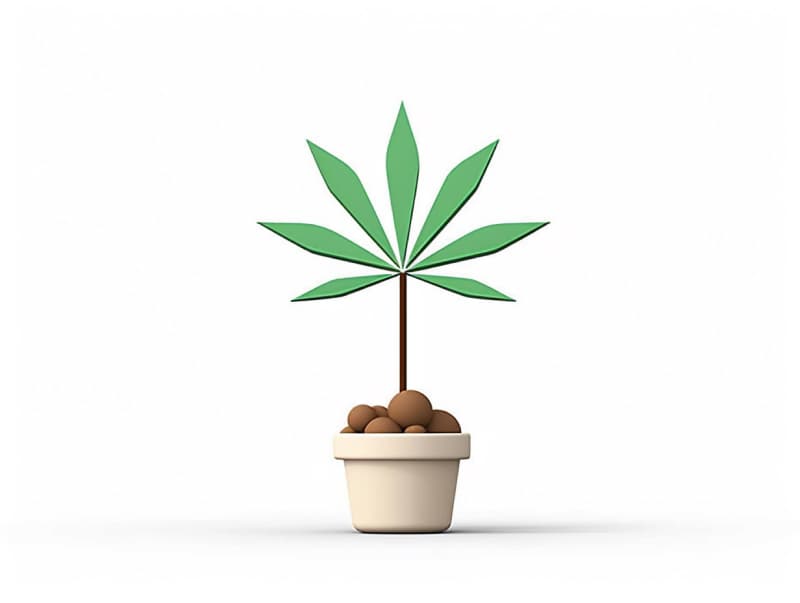 Eine minimalistische, geometrische Darstellung eines wachsenden Cannabispflanzensprösslings. Es steht für das Gründen eines neuen Aufstrebenden Clubs in Hürth.