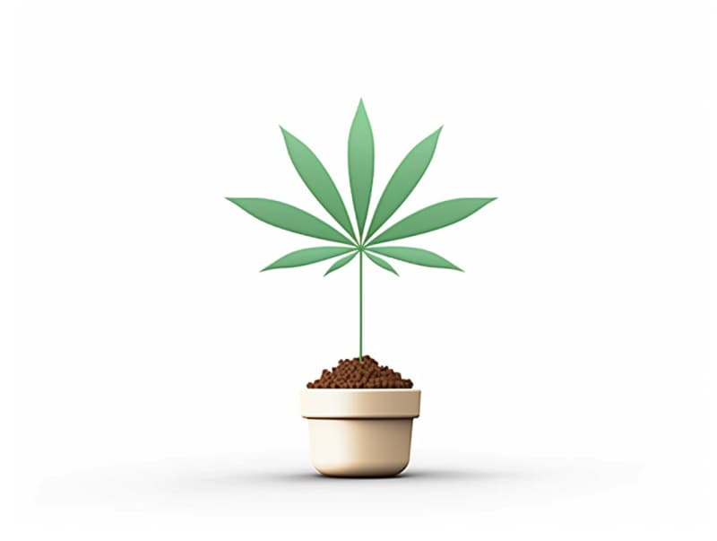 Eine minimalistische, geometrische Darstellung eines wachsenden Cannabispflanzensprösslings. Es steht für das Gründen eines neuen Aufstrebenden Clubs in Hameln.