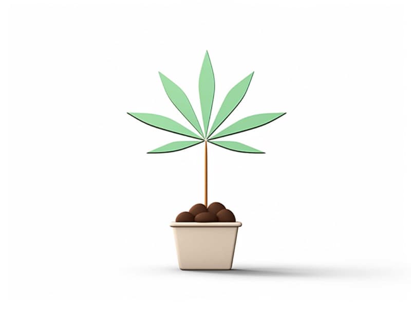 Eine minimalistische, geometrische Darstellung eines wachsenden Cannabispflanzensprösslings. Es steht für das Gründen eines neuen Aufstrebenden Clubs in Hattingen.