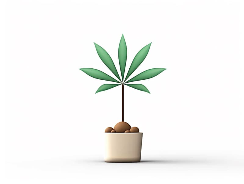 Eine minimalistische, geometrische Darstellung eines wachsenden Cannabispflanzensprösslings. Es steht für das Gründen eines neuen Aufstrebenden Clubs in Heidenheim an der Brenz.