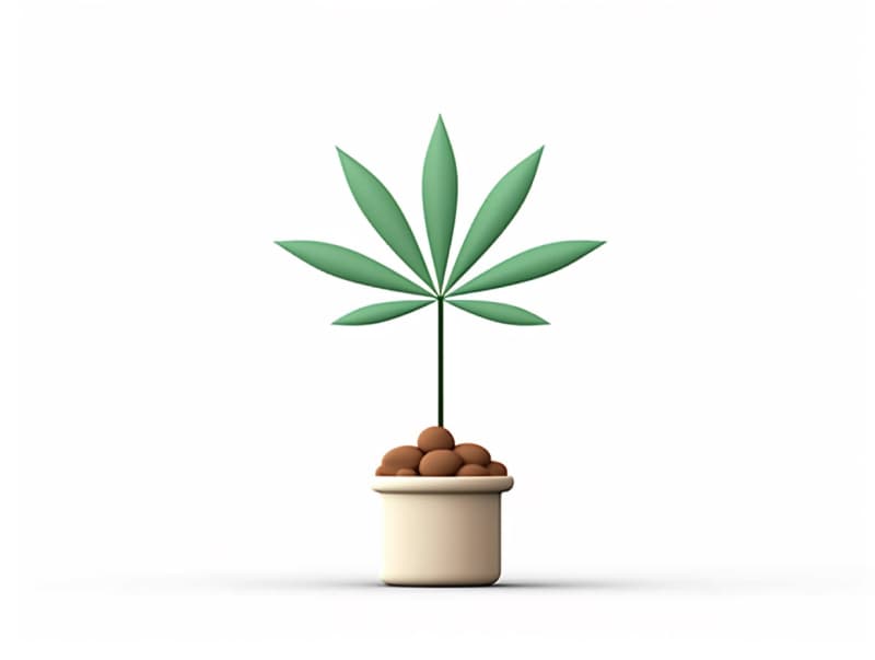 Eine minimalistische, geometrische Darstellung eines wachsenden Cannabispflanzensprösslings. Es steht für das Gründen eines neuen Aufstrebenden Clubs in Herten.