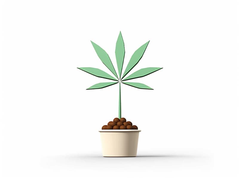 Eine minimalistische, geometrische Darstellung eines wachsenden Cannabispflanzensprösslings. Es steht für das Gründen eines neuen Aufstrebenden Clubs in Hilden.