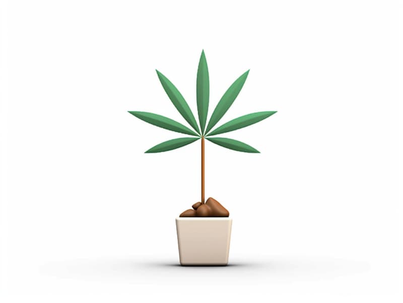 Eine minimalistische, geometrische Darstellung eines wachsenden Cannabispflanzensprösslings. Es steht für das Gründen eines neuen Aufstrebenden Clubs in Ingolstadt.
