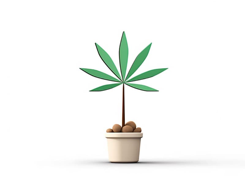 Eine minimalistische, geometrische Darstellung eines wachsenden Cannabispflanzensprösslings. Es steht für das Gründen eines neuen Aufstrebenden Clubs in Kerpen.
