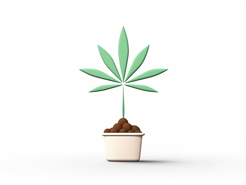 Eine minimalistische, geometrische Darstellung eines wachsenden Cannabispflanzensprösslings. Es steht für das Gründen eines neuen Aufstrebenden Clubs in Kleve.
