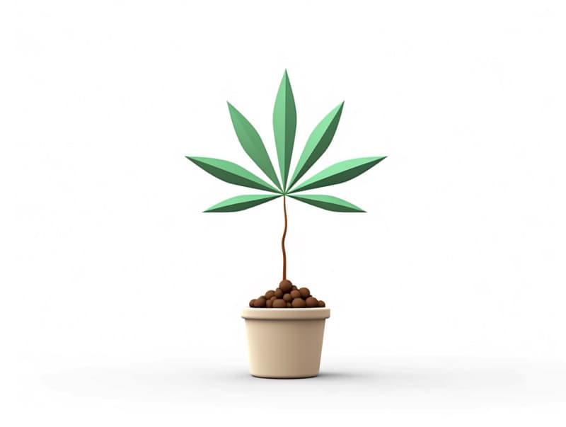 Eine minimalistische, geometrische Darstellung eines wachsenden Cannabispflanzensprösslings. Es steht für das Gründen eines neuen Aufstrebenden Clubs in Lüneburg.