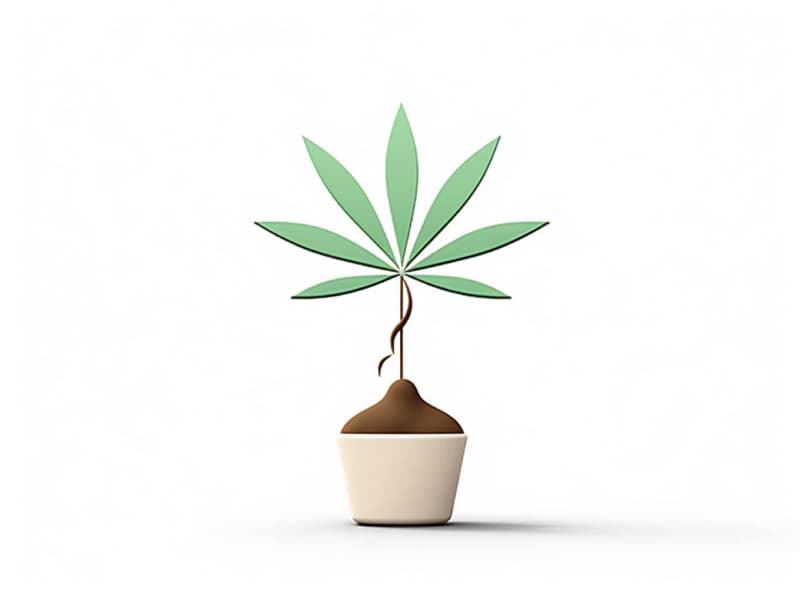 Eine minimalistische, geometrische Darstellung eines wachsenden Cannabispflanzensprösslings. Es steht für das Gründen eines neuen Aufstrebenden Clubs in Langenhagen.