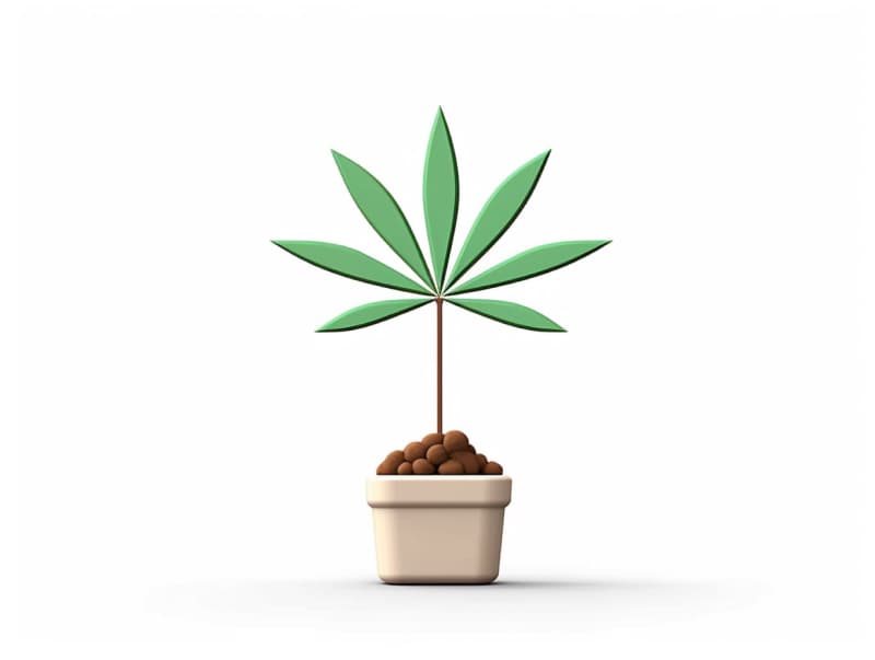 Eine minimalistische, geometrische Darstellung eines wachsenden Cannabispflanzensprösslings. Es steht für das Gründen eines neuen Aufstrebenden Clubs in Lingen (Ems).