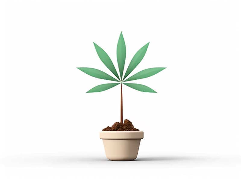 Eine minimalistische, geometrische Darstellung eines wachsenden Cannabispflanzensprösslings. Es steht für das Gründen eines neuen Aufstrebenden Clubs in Marburg.