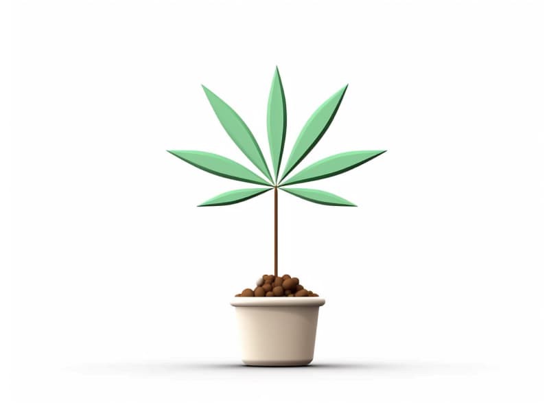 Eine minimalistische, geometrische Darstellung eines wachsenden Cannabispflanzensprösslings. Es steht für das Gründen eines neuen Aufstrebenden Clubs in Meerbusch.