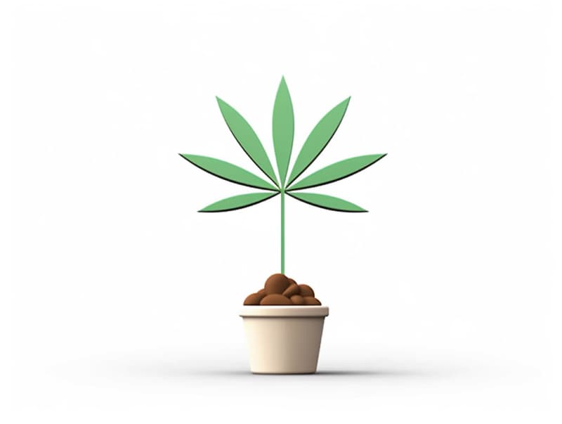 Eine minimalistische, geometrische Darstellung eines wachsenden Cannabispflanzensprösslings. Es steht für das Gründen eines neuen Aufstrebenden Clubs in Menden (Sauerland).