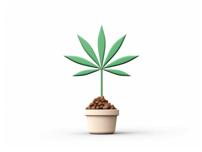 Eine minimalistische, geometrische Darstellung eines wachsenden Cannabispflanzensprösslings. Es steht für das Gründen eines neuen Aufstrebenden Clubs in Neu-Ulm.