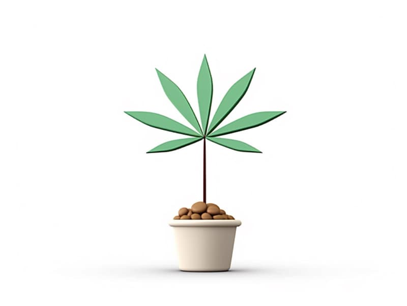 Eine minimalistische, geometrische Darstellung eines wachsenden Cannabispflanzensprösslings. Es steht für das Gründen eines neuen Aufstrebenden Clubs in Neuss.