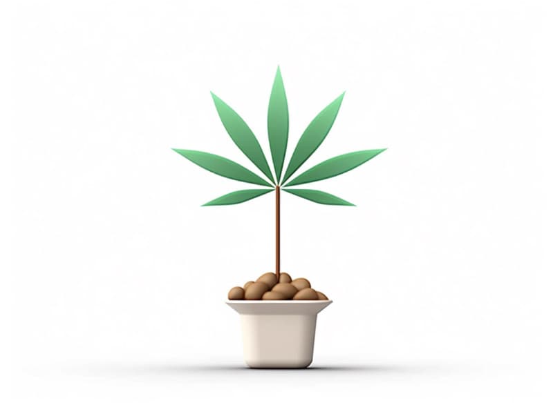Eine minimalistische, geometrische Darstellung eines wachsenden Cannabispflanzensprösslings. Es steht für das Gründen eines neuen Aufstrebenden Clubs in Offenburg.