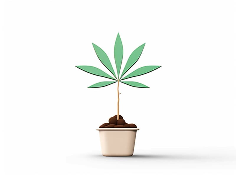 Eine minimalistische, geometrische Darstellung eines wachsenden Cannabispflanzensprösslings. Es steht für das Gründen eines neuen Aufstrebenden Clubs in Passau.