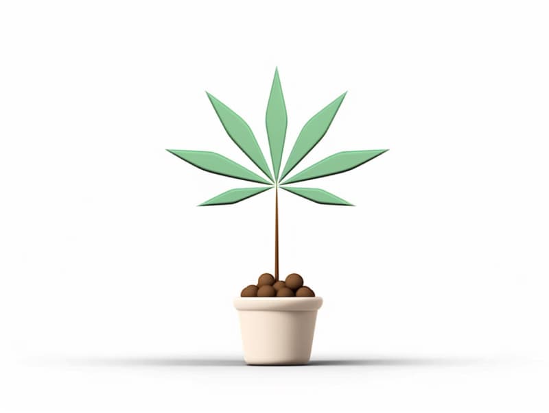 Eine minimalistische, geometrische Darstellung eines wachsenden Cannabispflanzensprösslings. Es steht für das Gründen eines neuen Aufstrebenden Clubs in Peine.
