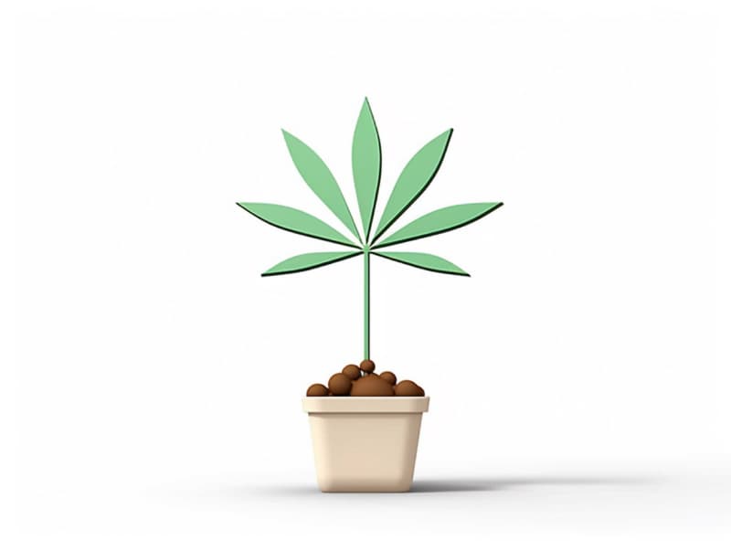 Eine minimalistische, geometrische Darstellung eines wachsenden Cannabispflanzensprösslings. Es steht für das Gründen eines neuen Aufstrebenden Clubs in Plauen.