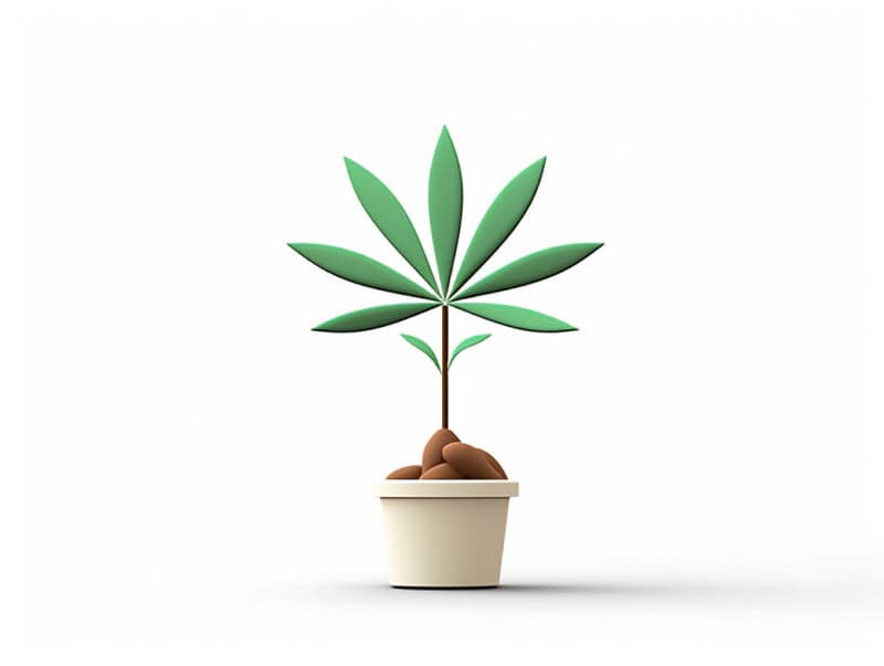 Eine minimalistische, geometrische Darstellung eines wachsenden Cannabispflanzensprösslings. Es steht für das Gründen eines neuen Aufstrebenden Clubs in Ravensburg.