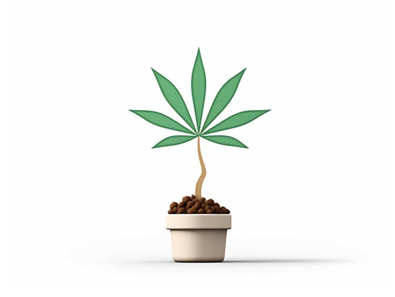 Eine minimalistische, geometrische Darstellung eines wachsenden Cannabispflanzensprösslings. Es steht für das Gründen eines neuen Aufstrebenden Clubs in Remscheid.
