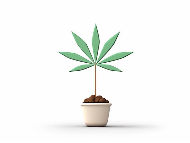 Eine minimalistische, geometrische Darstellung eines wachsenden Cannabispflanzensprösslings. Es steht für das Gründen eines neuen Aufstrebenden Clubs in Rheda-Wiedenbrück.