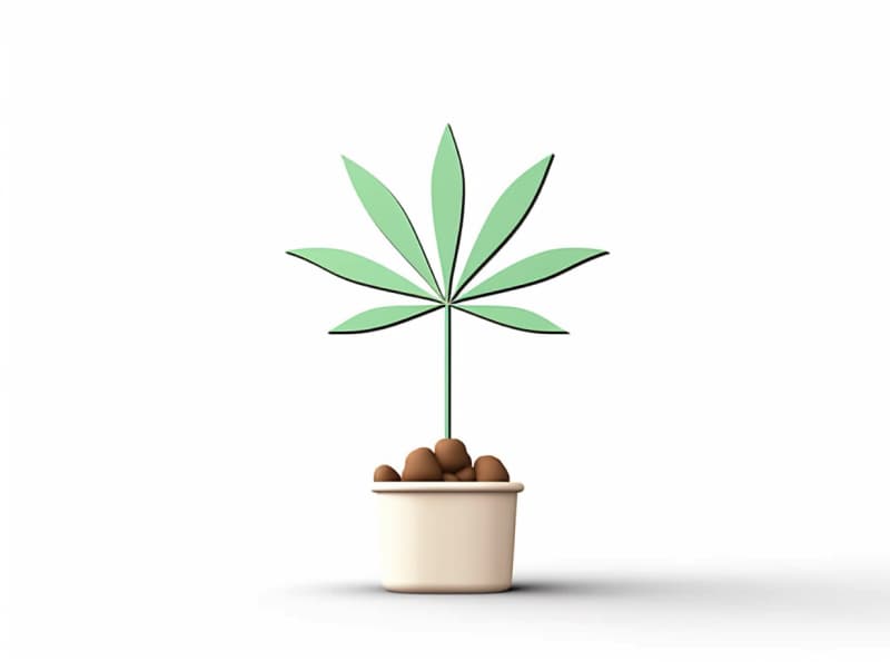 Eine minimalistische, geometrische Darstellung eines wachsenden Cannabispflanzensprösslings. Es steht für das Gründen eines neuen Aufstrebenden Clubs in Sankt Augustin.