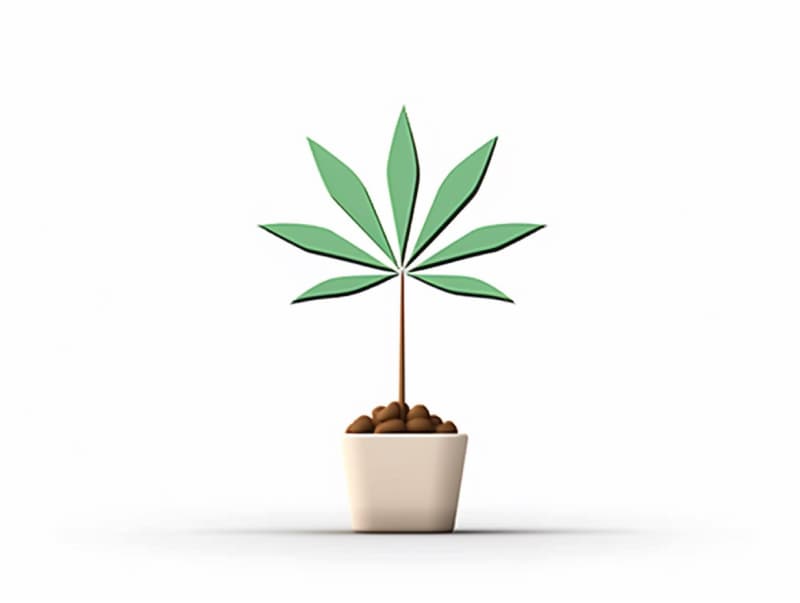 Eine minimalistische, geometrische Darstellung eines wachsenden Cannabispflanzensprösslings. Es steht für das Gründen eines neuen Aufstrebenden Clubs in Singen (Hohentwiel).