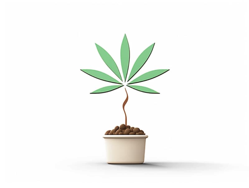 Eine minimalistische, geometrische Darstellung eines wachsenden Cannabispflanzensprösslings. Es steht für das Gründen eines neuen Aufstrebenden Clubs in Stolberg (Rheinland).