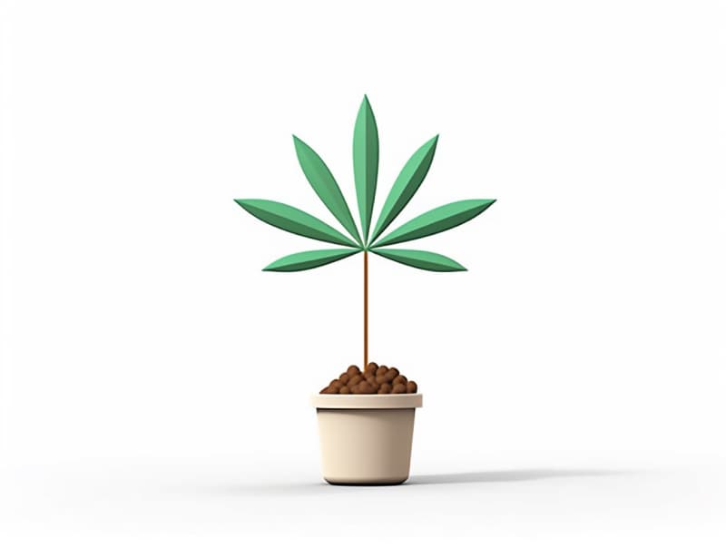 Eine minimalistische, geometrische Darstellung eines wachsenden Cannabispflanzensprösslings. Es steht für das Gründen eines neuen Aufstrebenden Clubs in Troisdorf.