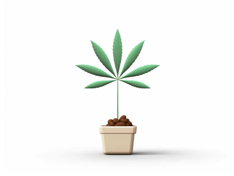Eine minimalistische, geometrische Darstellung eines wachsenden Cannabispflanzensprösslings. Es steht für das Gründen eines neuen Aufstrebenden Clubs in Ulm.